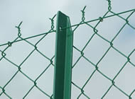 Chain Link Fence