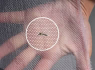 Nylon Wire Insect Screen